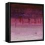 Show Stopper III-Joshua Schicker-Framed Stretched Canvas