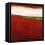 Show Stopper IX-Joshua Schicker-Framed Stretched Canvas