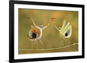 Show Time-Hasan Baglar-Framed Art Print