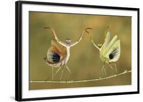 Show Time-Hasan Baglar-Framed Giclee Print