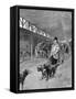 Showdogs in France-null-Framed Stretched Canvas