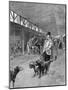 Showdogs in France-null-Mounted Art Print