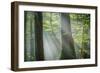 Shower of Light-Anne Schneidersmann-Framed Photographic Print