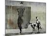 Shower Peepers-Banksy-Mounted Premium Giclee Print