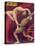 Showgirl Tamarina, with Dancing Partner Fredoff in an Acrobatic Pose-null-Stretched Canvas