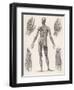 Showing Muscles of Body Hands and Feet-G. Aikmann-Framed Art Print