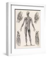 Showing Muscles of Body Hands and Feet-G. Aikmann-Framed Art Print