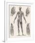 Showing Muscles of Body Hands and Feet-G. Aikmann-Framed Art Print