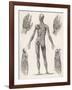 Showing Muscles of Body Hands and Feet-G. Aikmann-Framed Art Print