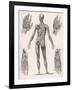 Showing Muscles of Body Hands and Feet-G. Aikmann-Framed Art Print