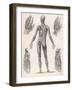 Showing Muscles of Body Hands and Feet-G. Aikmann-Framed Art Print