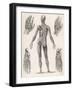 Showing Muscles of Body Hands and Feet-G. Aikmann-Framed Art Print