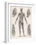 Showing Muscles of Body Hands and Feet-G. Aikmann-Framed Art Print