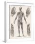 Showing Muscles of Body Hands and Feet-G. Aikmann-Framed Art Print