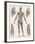 Showing Muscles of Body Hands and Feet-G. Aikmann-Framed Art Print