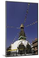 Shree Gha Buddhist Stupa, Thamel, Kathmandu, Nepal, Asia-John Woodworth-Mounted Photographic Print