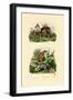 Shrews, 1833-39-null-Framed Giclee Print