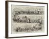 Shrewsbury Show, the Procession-null-Framed Giclee Print