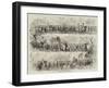 Shrewsbury Show, the Procession-null-Framed Giclee Print