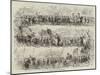 Shrewsbury Show, the Procession-null-Mounted Giclee Print