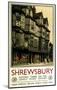 Shrewsbury-null-Mounted Art Print