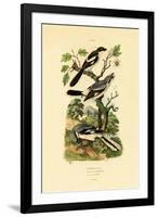 Shrikes, 1833-39-null-Framed Giclee Print