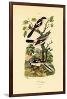 Shrikes, 1833-39-null-Framed Giclee Print