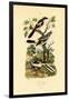 Shrikes, 1833-39-null-Framed Giclee Print