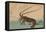 Shrimp and Lobster (Ise Ebi to Shiba Ebi)-Ando Hiroshige-Framed Stretched Canvas