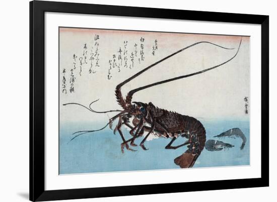 Shrimp and Lobster, Japanese Wood-Cut Print-Lantern Press-Framed Art Print