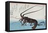Shrimp and Lobster, Japanese Wood-Cut Print-Lantern Press-Framed Stretched Canvas