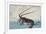 Shrimp and Lobster-Ando Hiroshige-Framed Giclee Print