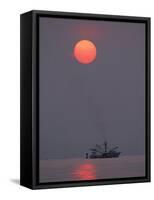 Shrimp Boat at Sunrise, Tybee Island, Georgia, USA-Joanne Wells-Framed Stretched Canvas