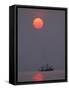 Shrimp Boat at Sunrise, Tybee Island, Georgia, USA-Joanne Wells-Framed Stretched Canvas