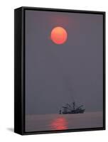 Shrimp Boat at Sunrise, Tybee Island, Georgia, USA-Joanne Wells-Framed Stretched Canvas