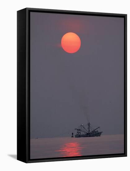 Shrimp Boat at Sunrise, Tybee Island, Georgia, USA-Joanne Wells-Framed Stretched Canvas