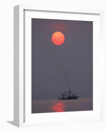 Shrimp Boat at Sunrise, Tybee Island, Georgia, USA-Joanne Wells-Framed Photographic Print