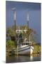 Shrimp Boat Docked at Harbor, Apalachicola, Florida, USA-Joanne Wells-Mounted Photographic Print