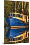 Shrimp Boat Docked at Harbor, Fishing, Apalachicola, Florida, USA-Joanne Wells-Mounted Premium Photographic Print