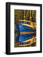 Shrimp Boat Docked at Harbor, Fishing, Apalachicola, Florida, USA-Joanne Wells-Framed Photographic Print