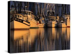 Shrimp Boats, Georgia, USA-Joanne Wells-Stretched Canvas