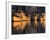 Shrimp Boats, Georgia, USA-Joanne Wells-Framed Photographic Print