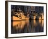 Shrimp Boats, Georgia, USA-Joanne Wells-Framed Photographic Print