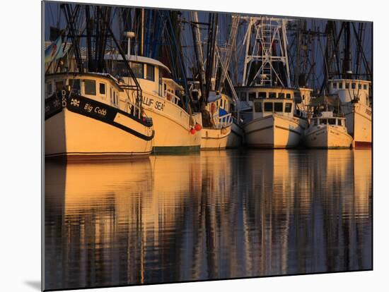 Shrimp Boats, Georgia, USA-Joanne Wells-Mounted Photographic Print