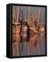 Shrimp Boats Tied to Dock, Darien, Georgia, USA-Joanne Wells-Framed Stretched Canvas