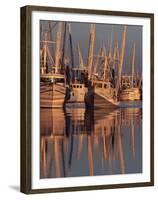 Shrimp Boats Tied to Dock, Darien, Georgia, USA-Joanne Wells-Framed Premium Photographic Print