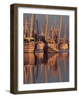 Shrimp Boats Tied to Dock, Darien, Georgia, USA-Joanne Wells-Framed Photographic Print