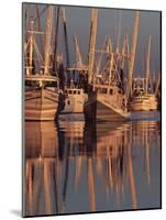 Shrimp Boats Tied to Dock, Darien, Georgia, USA-Joanne Wells-Mounted Photographic Print