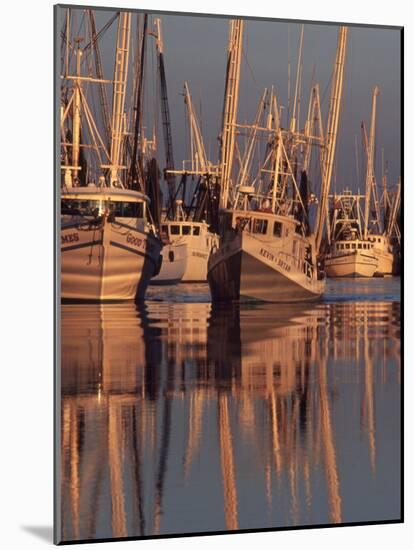 Shrimp Boats Tied to Dock, Darien, Georgia, USA-Joanne Wells-Mounted Photographic Print