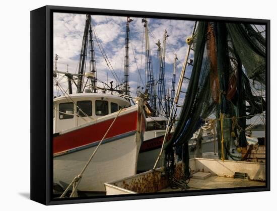 Shrimp Boats Tied to Dock, Darien, Georgia, USA-Joanne Wells-Framed Stretched Canvas